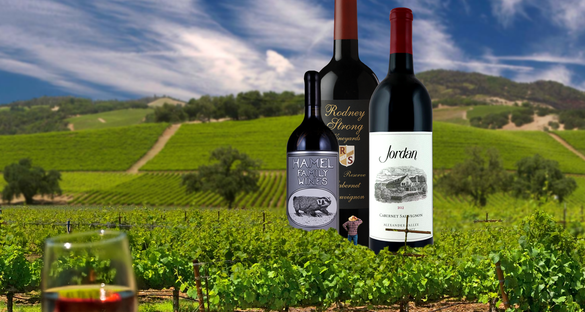 All Sonoma Reds: Cabs to Zins (No Pinots, Just Wins)!