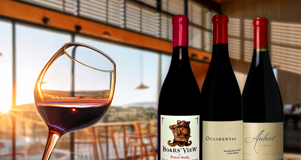 ALL Sonoma Pinot Noir Red Wines ft a Rare 100 pt Occidental-Kistler and an Aubert Reuling MAGNUM worth $800 top upgrades