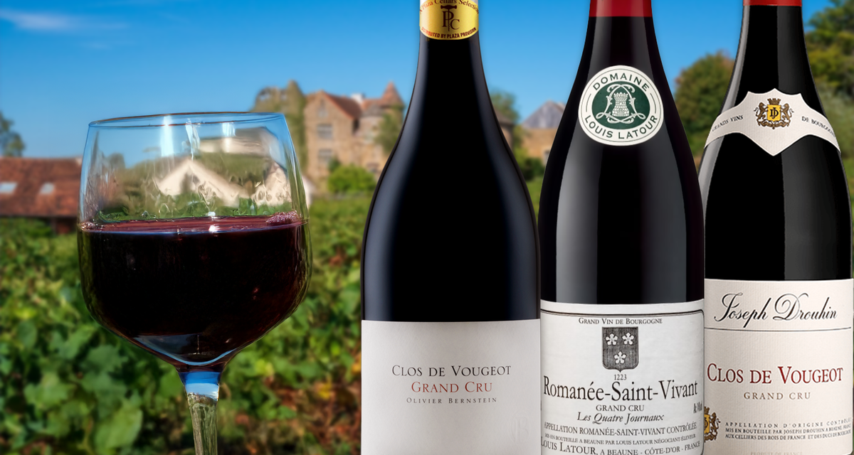 Exclusive: Rare Collector Burgundies ft. Olivier Bernstein & Louis Jadot Grand Cru!