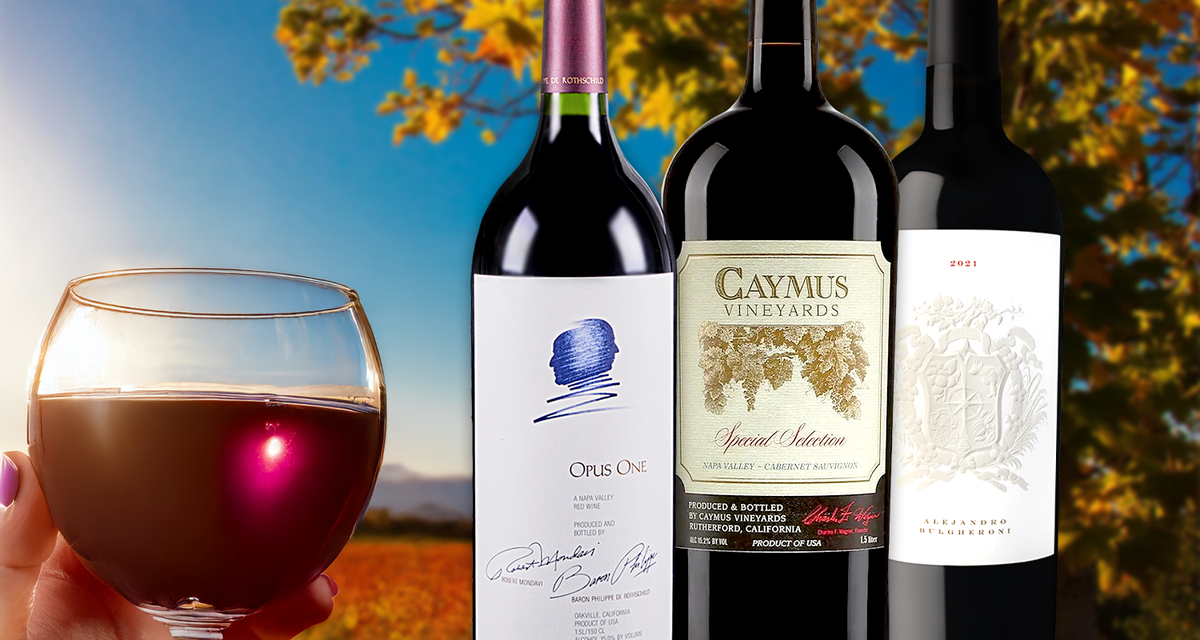 Quintessential Napa Cab Collection ft. multiple top MAGNUMS!