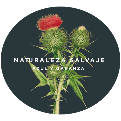 2020 Azul y Garanza Naturaleza Salvaje Grenache 750ML