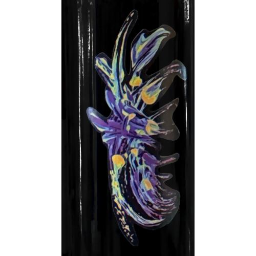 2019 Mora Dry Creek Valley Cabernet Sauvignon 750ML