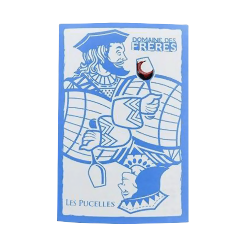 2021 Domaine des Freres Chinon Pucelles 750ML