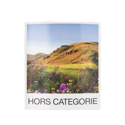 2019 Hors Categorie Syrah 750ML