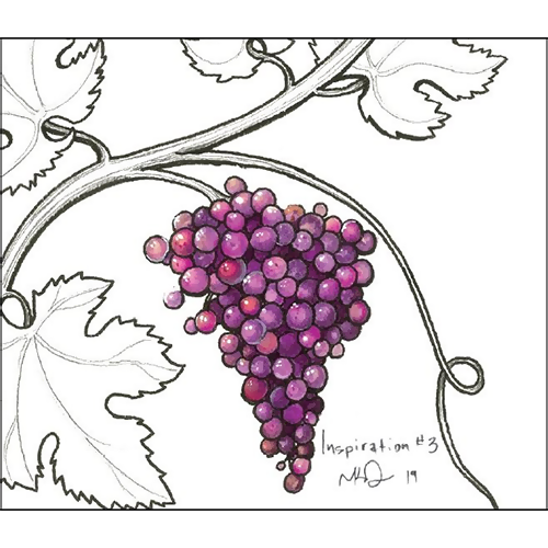 2022 Inspiration Vineyards Grenache 750ML